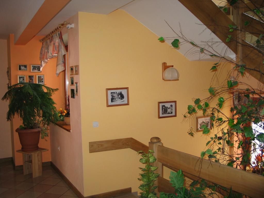 Pensjonat Lotos Krynica Morska Exterior foto
